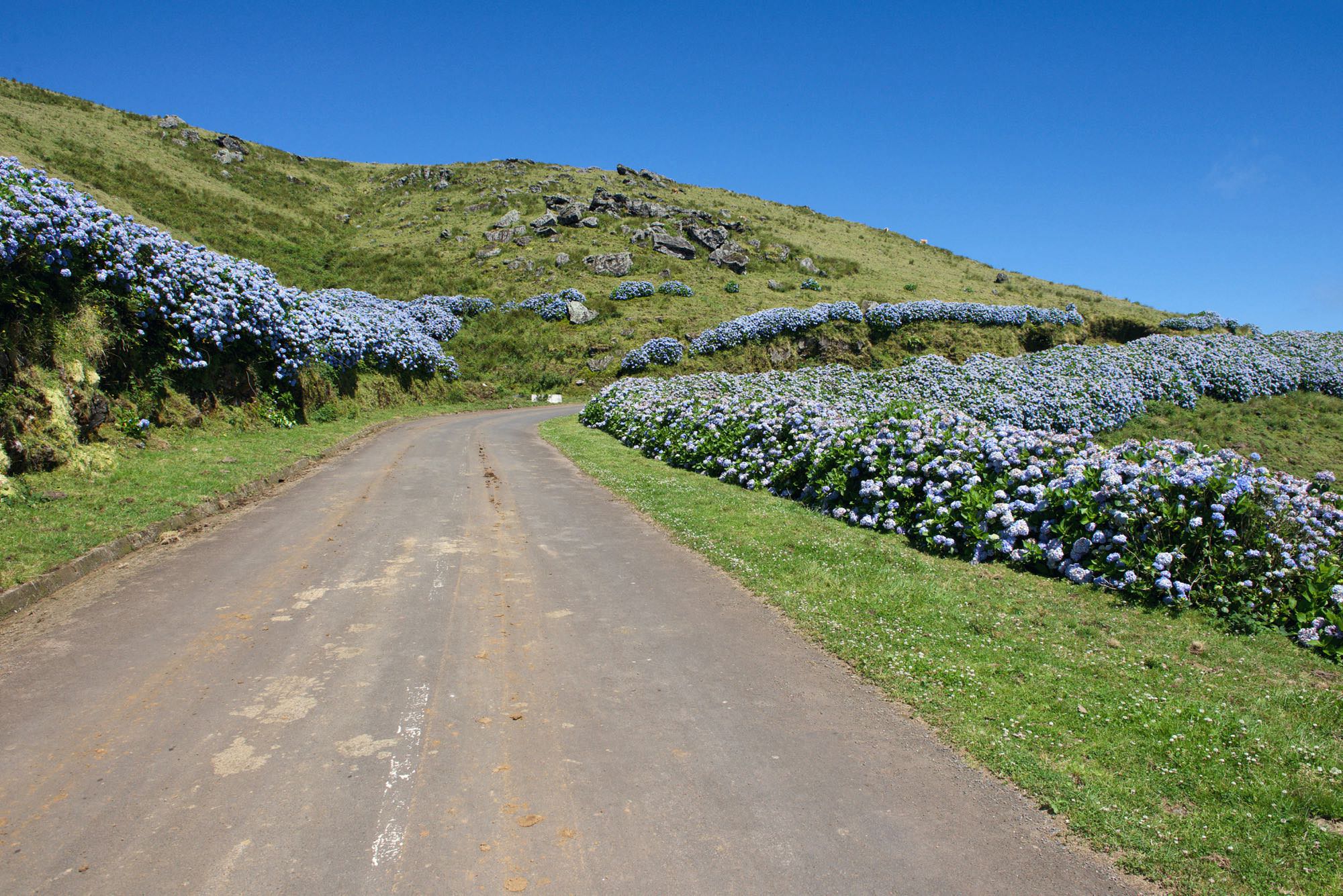 Stra&szlig;e vom Caldeirão nach Vila Nova