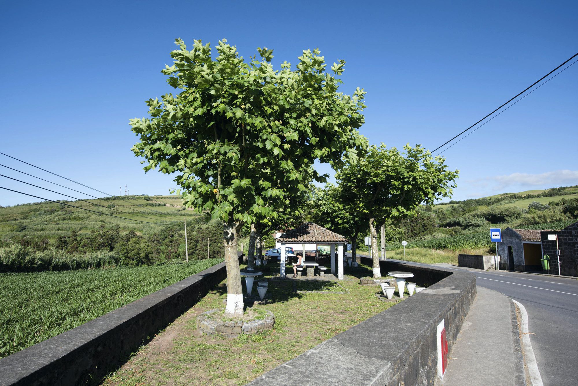 Picknickplatz in João Bom am Ausgangspunkt
