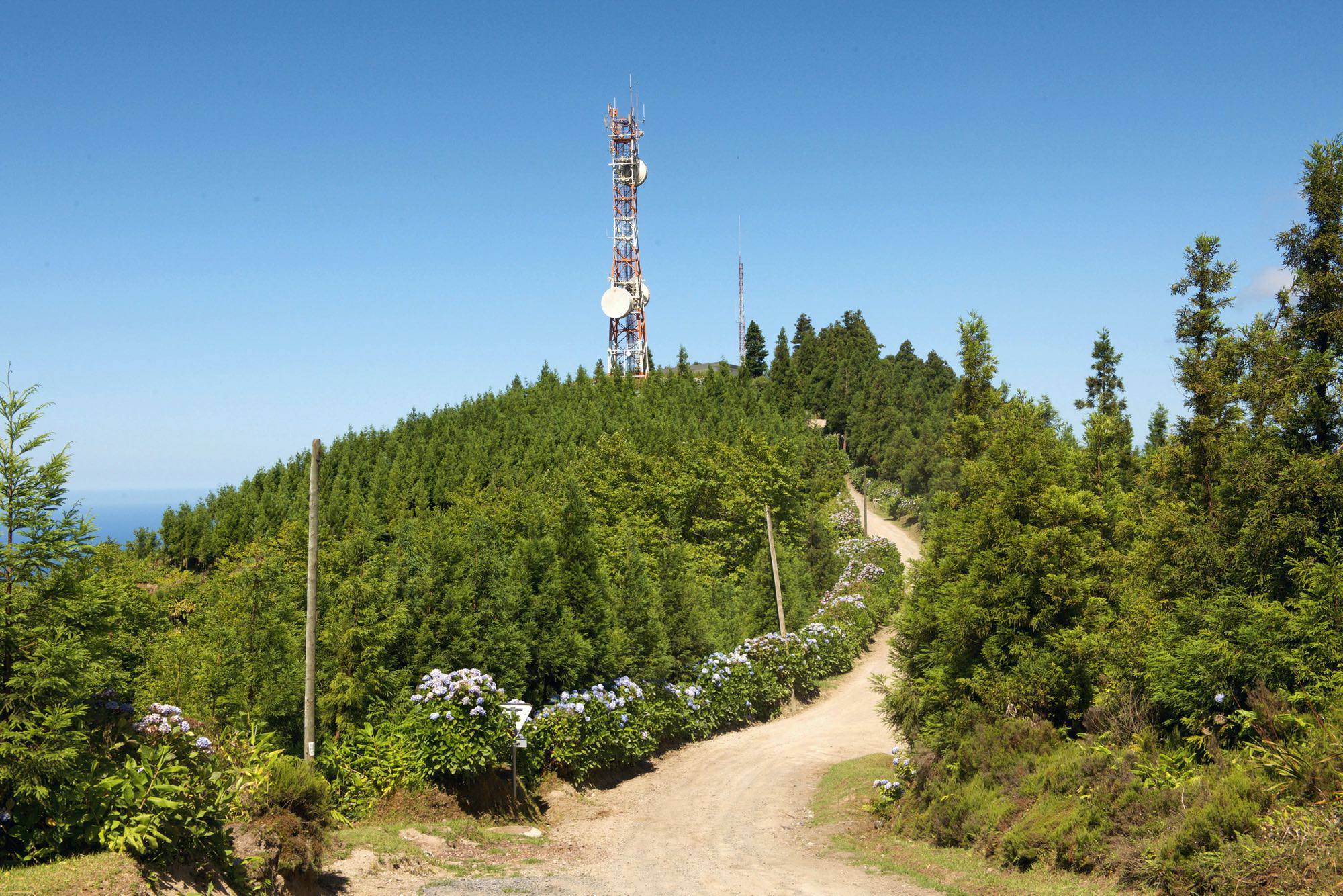 Pico das Camarinhas