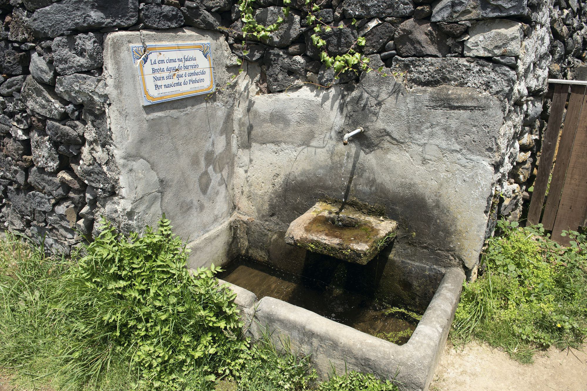 Nascente do Pinheiro