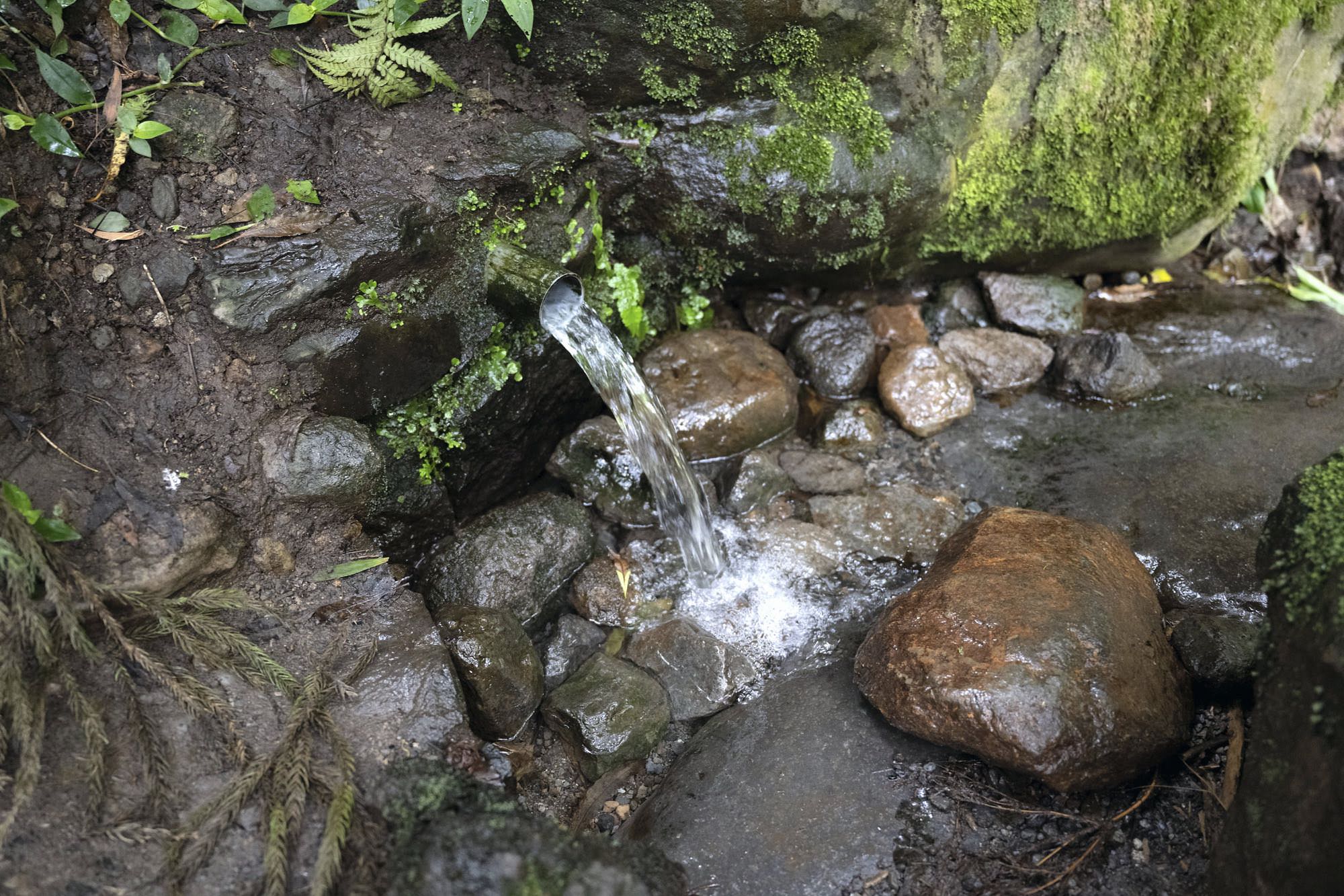 Natürliche Mineralwasserquelle