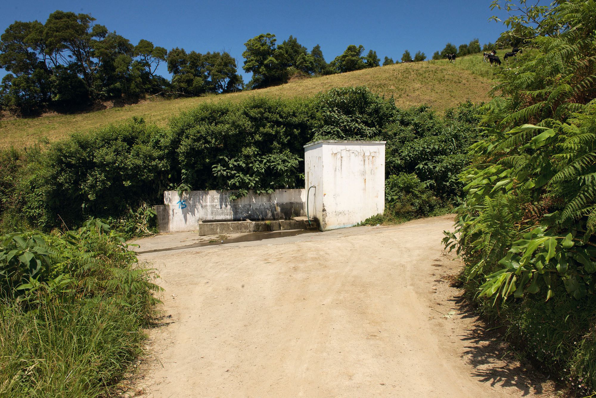 Wasserstelle entlang des Aufstiegswegs