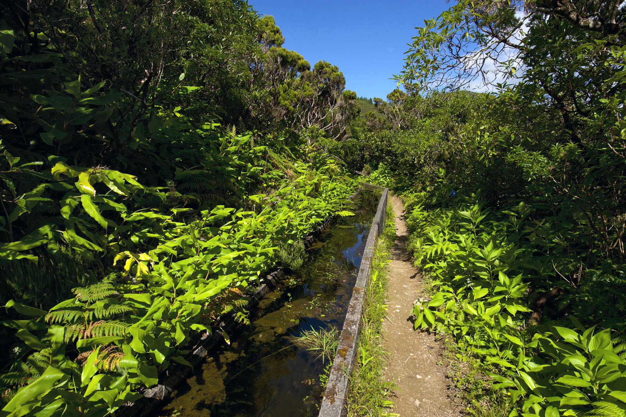 Levada