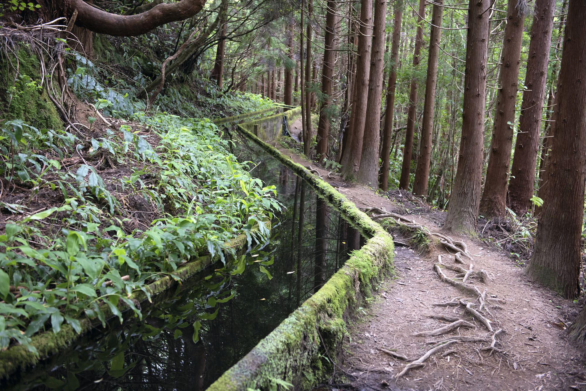 Levada