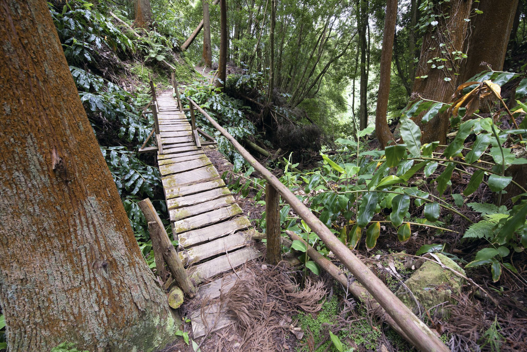 Wegabschnitt im Tal des Ribeira da Faial da Terra