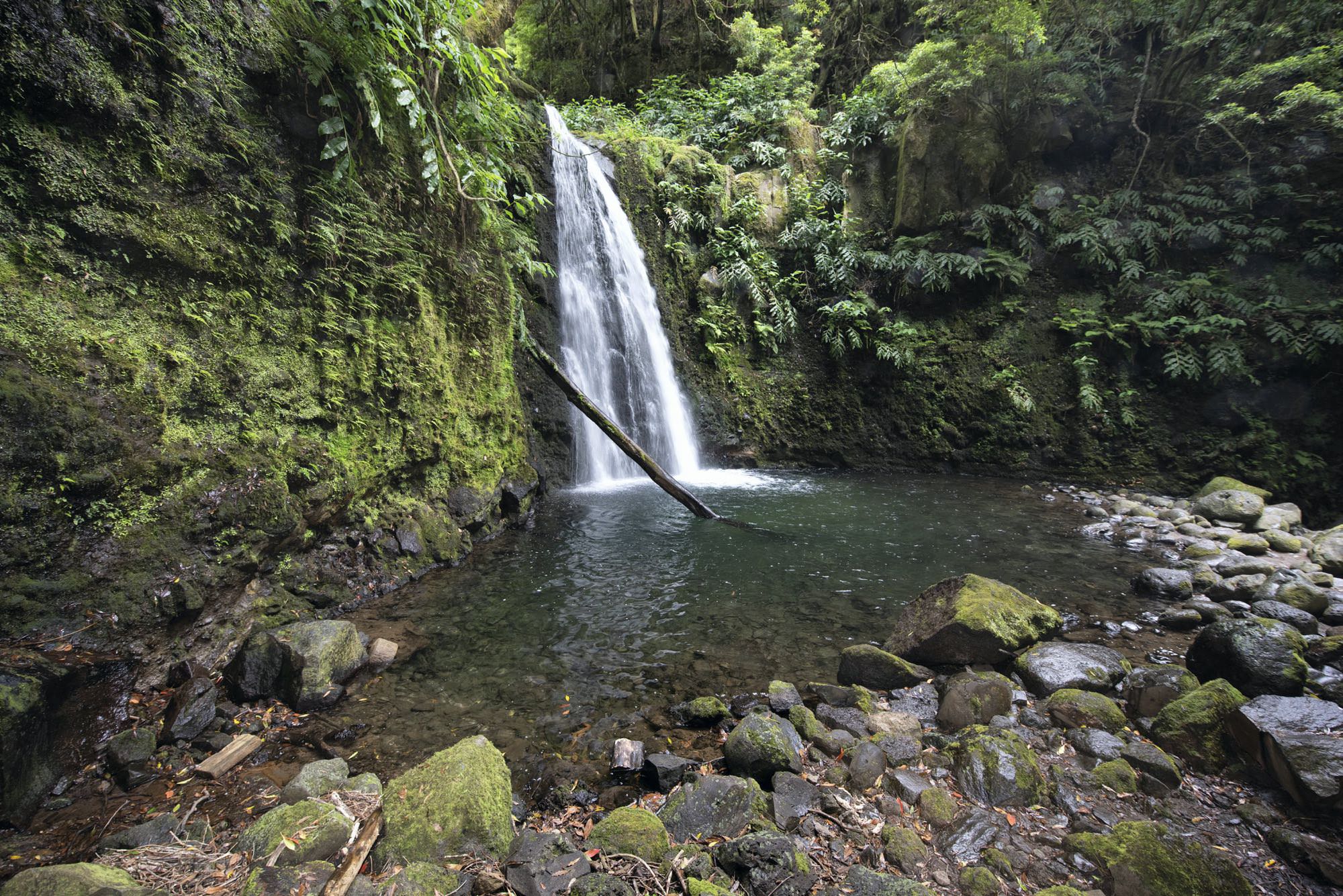 Salto do Prego