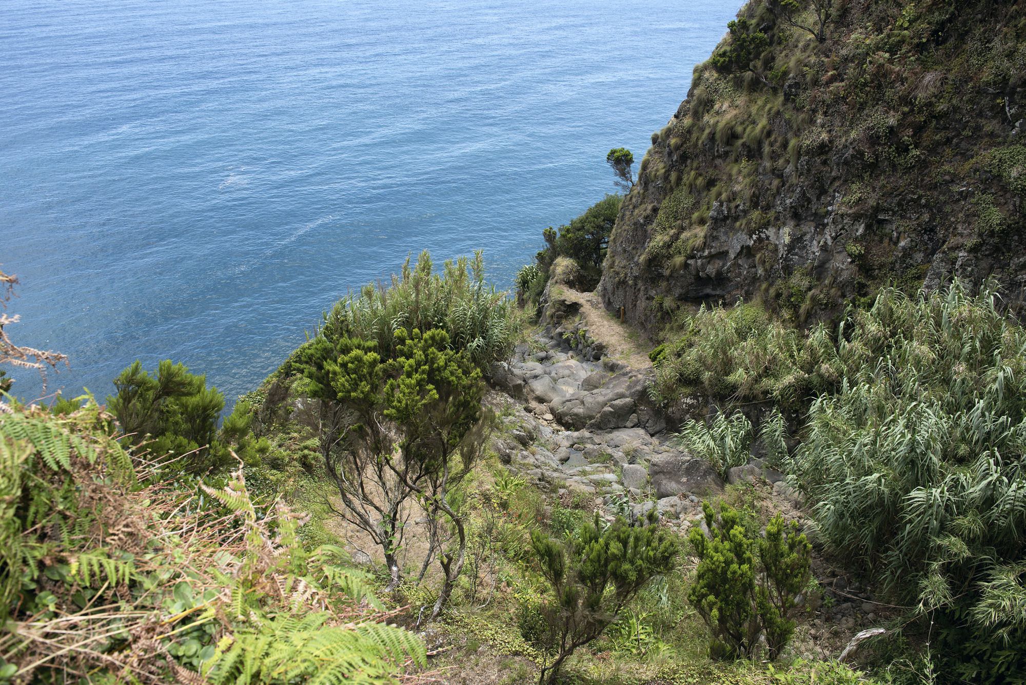 im Tal des Ribeira do Estreito