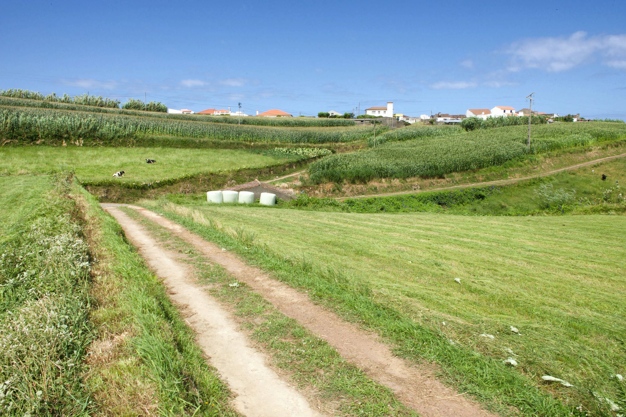 Rückweg nach Achadinha