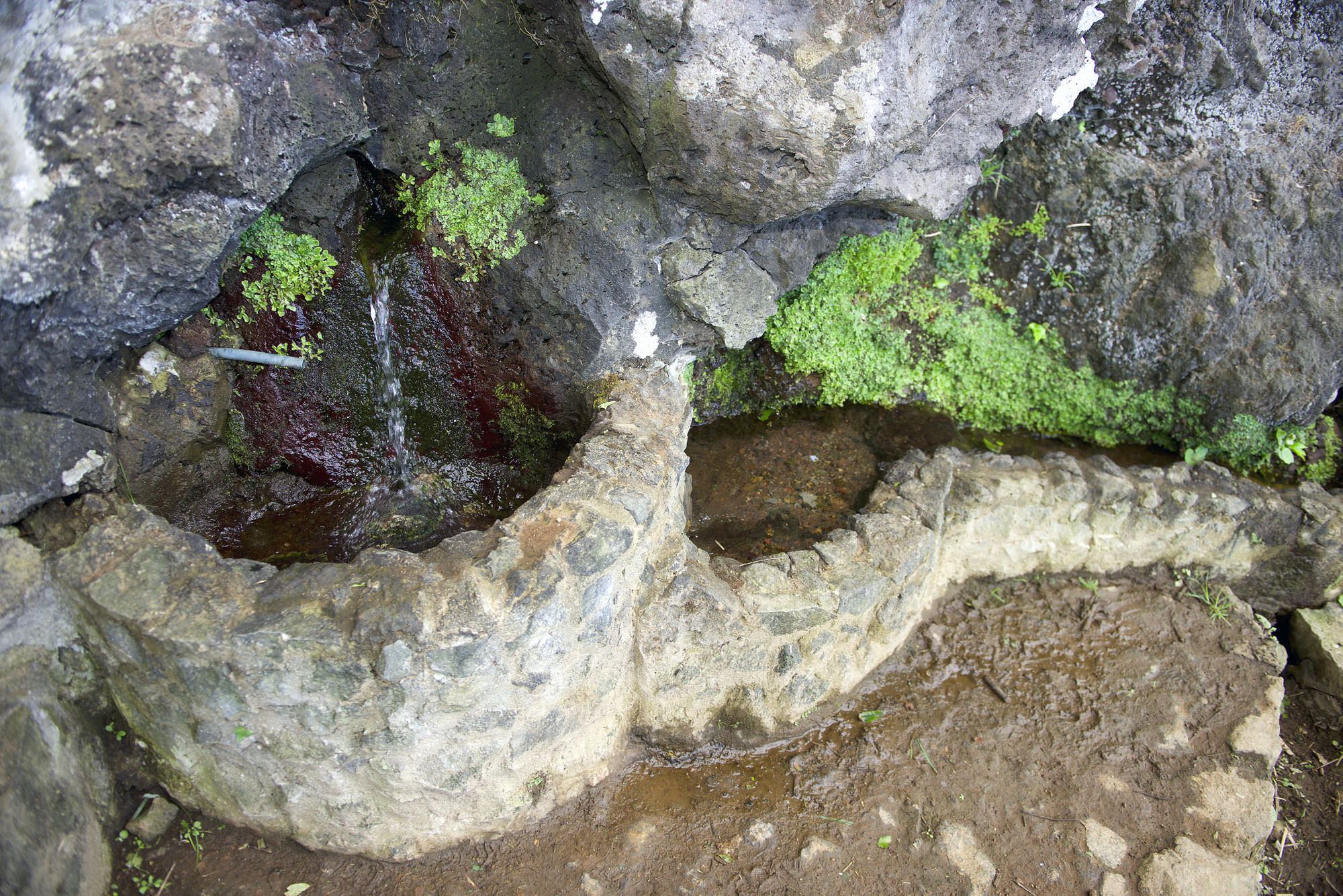 Fonte Santa