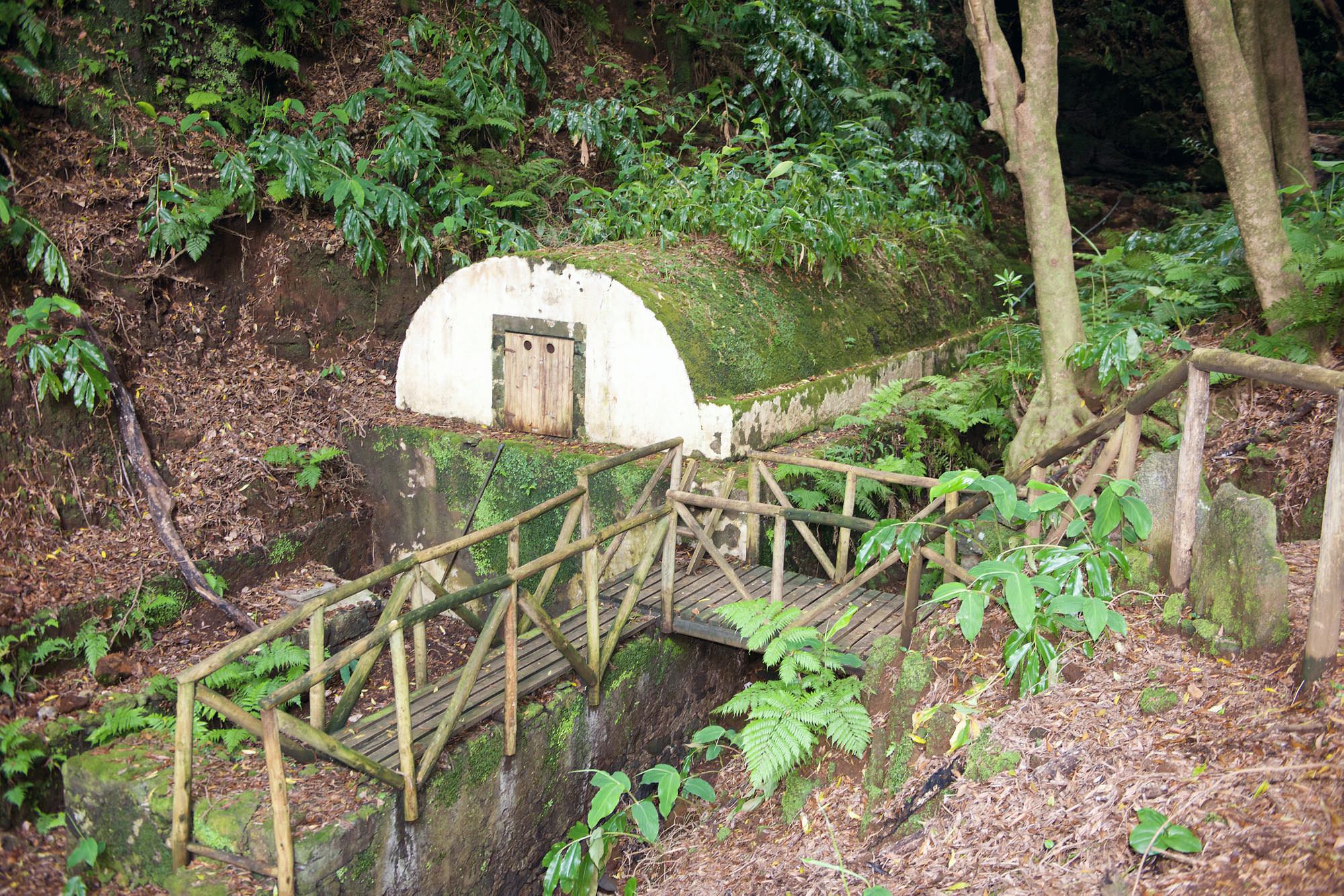 Tanque Velho