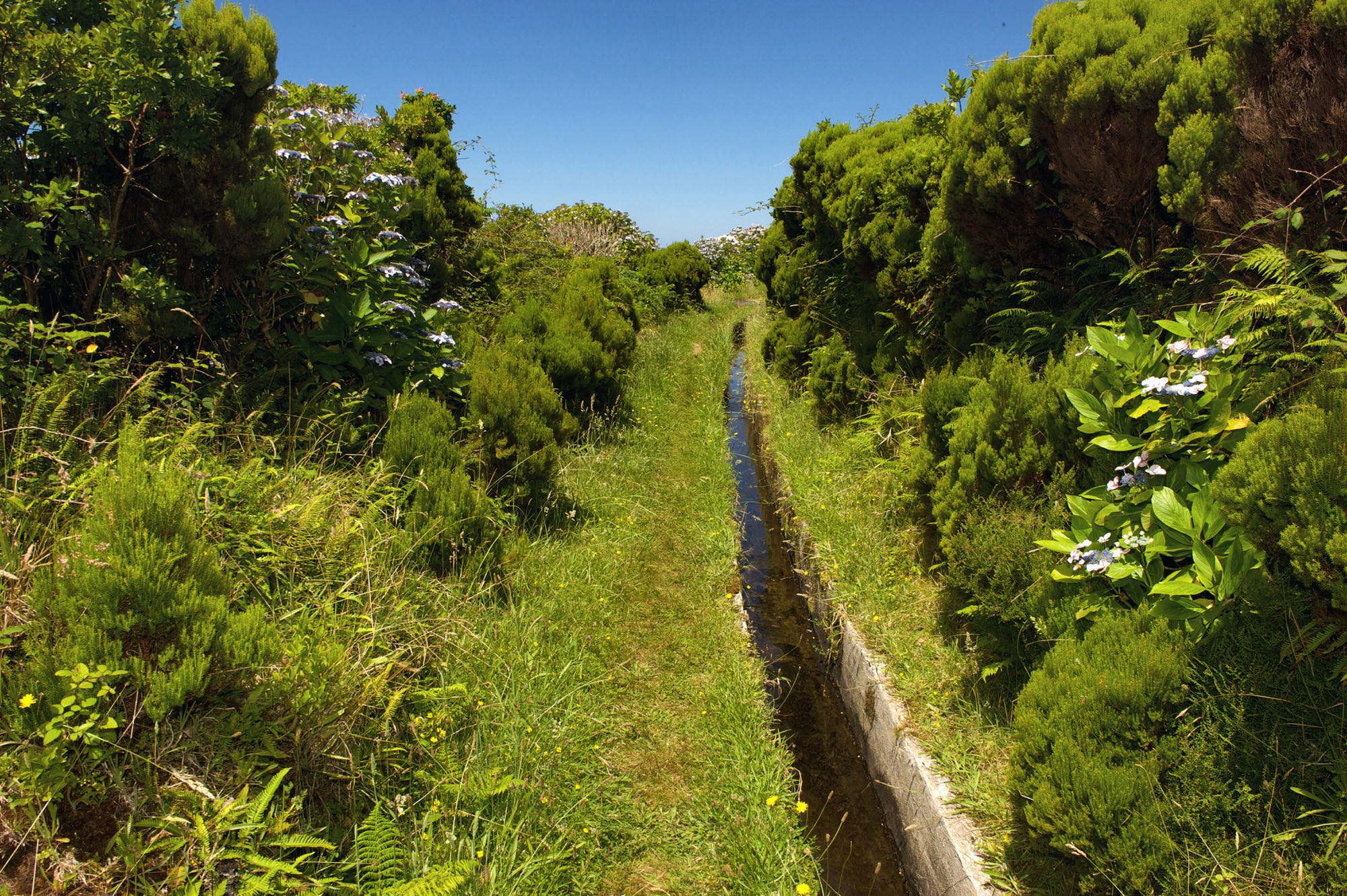 Levada do Faial