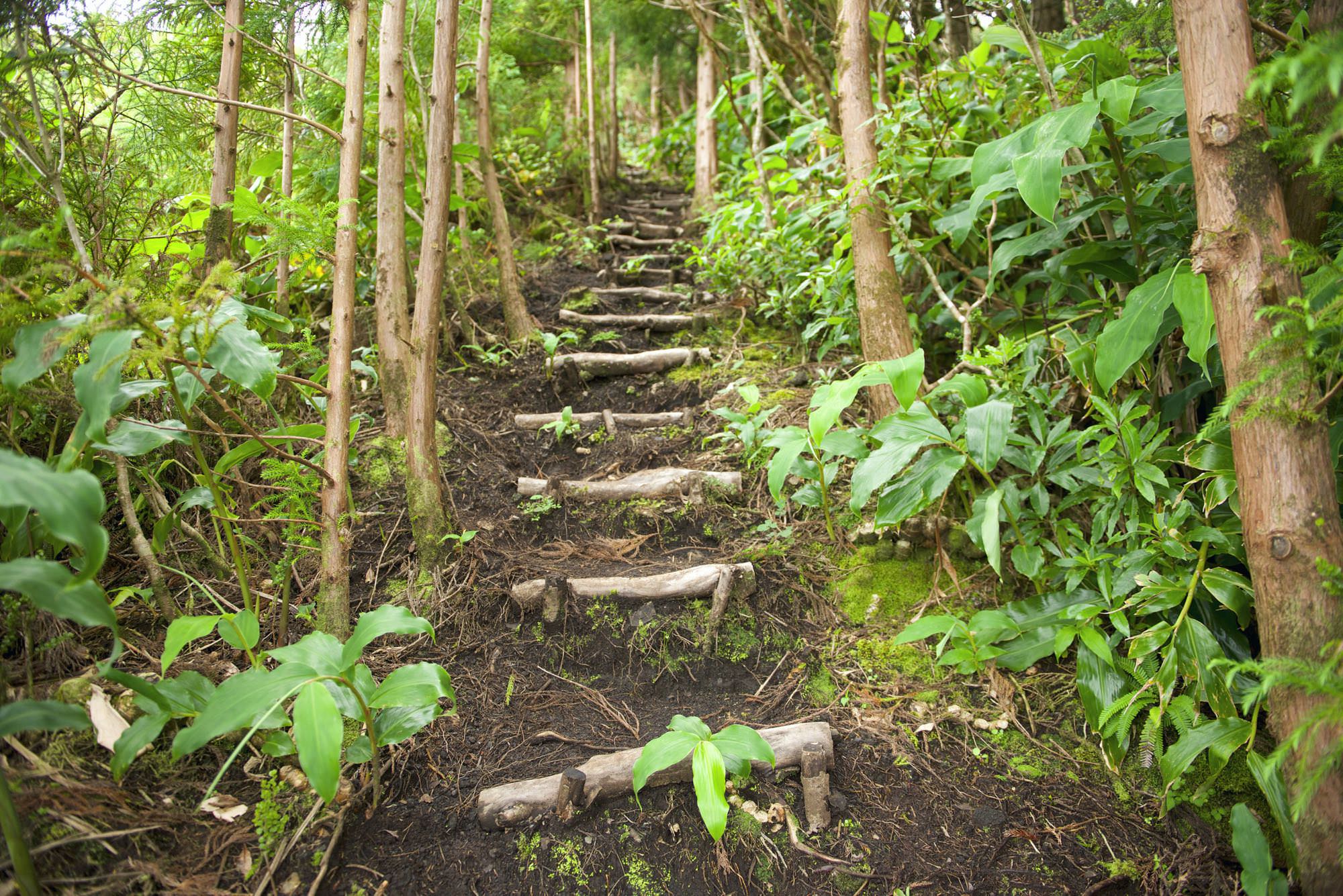 Viele Treppen führen von der Fonte das Areias auf den Cabeço do Fogo