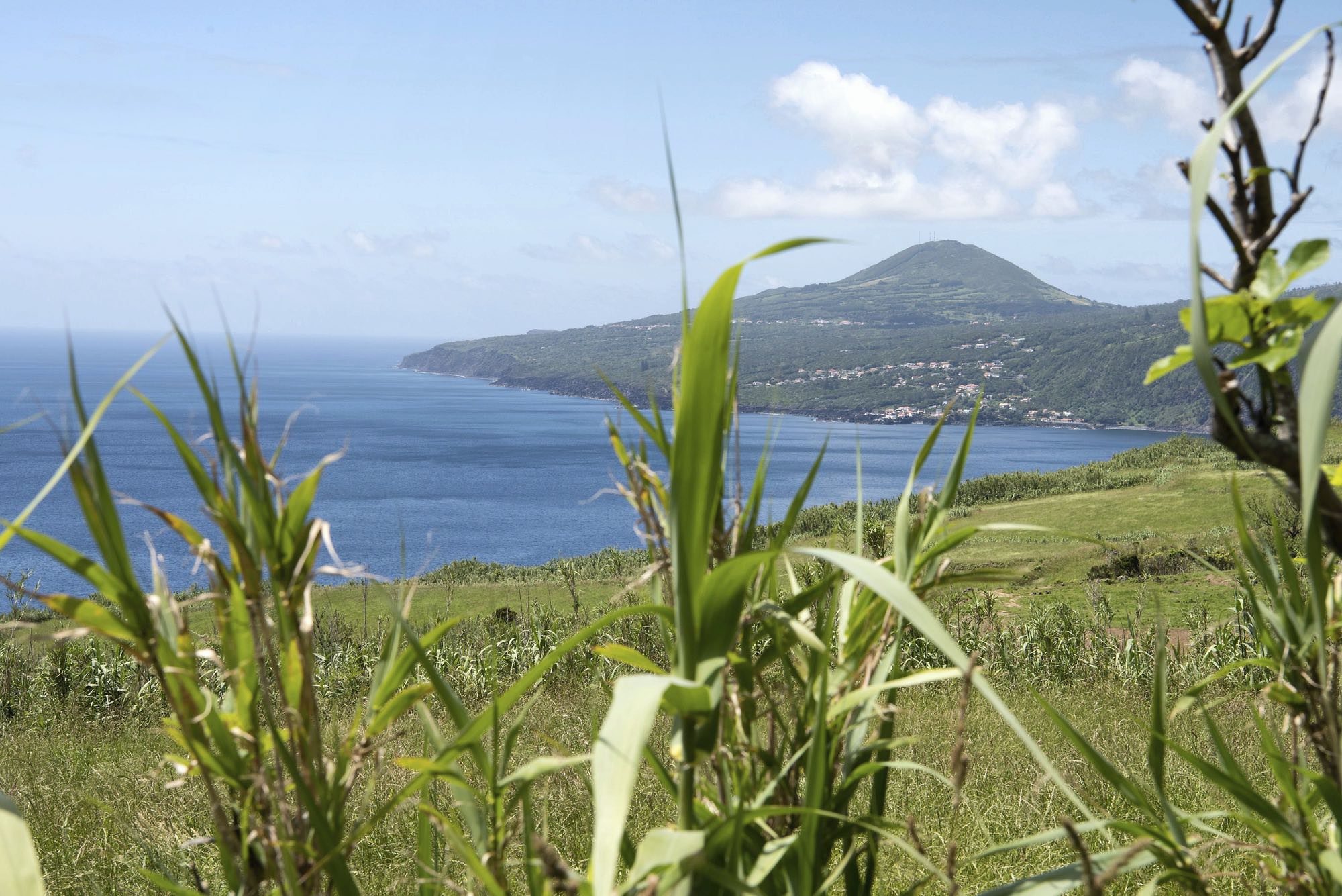 Blick auf die Ponta dos Capelinhos mit dem Cabeço Verde