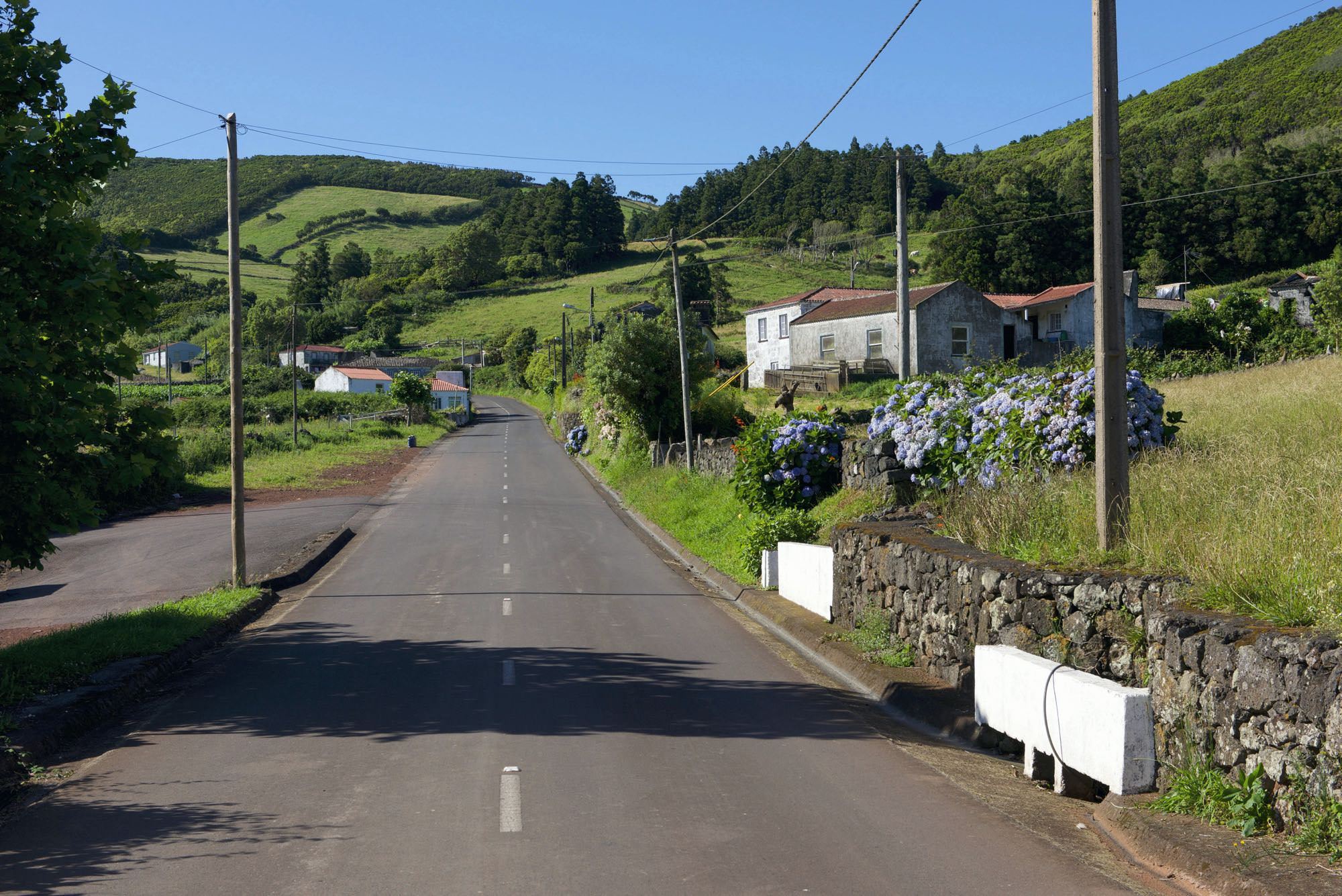Ponta de Rosais