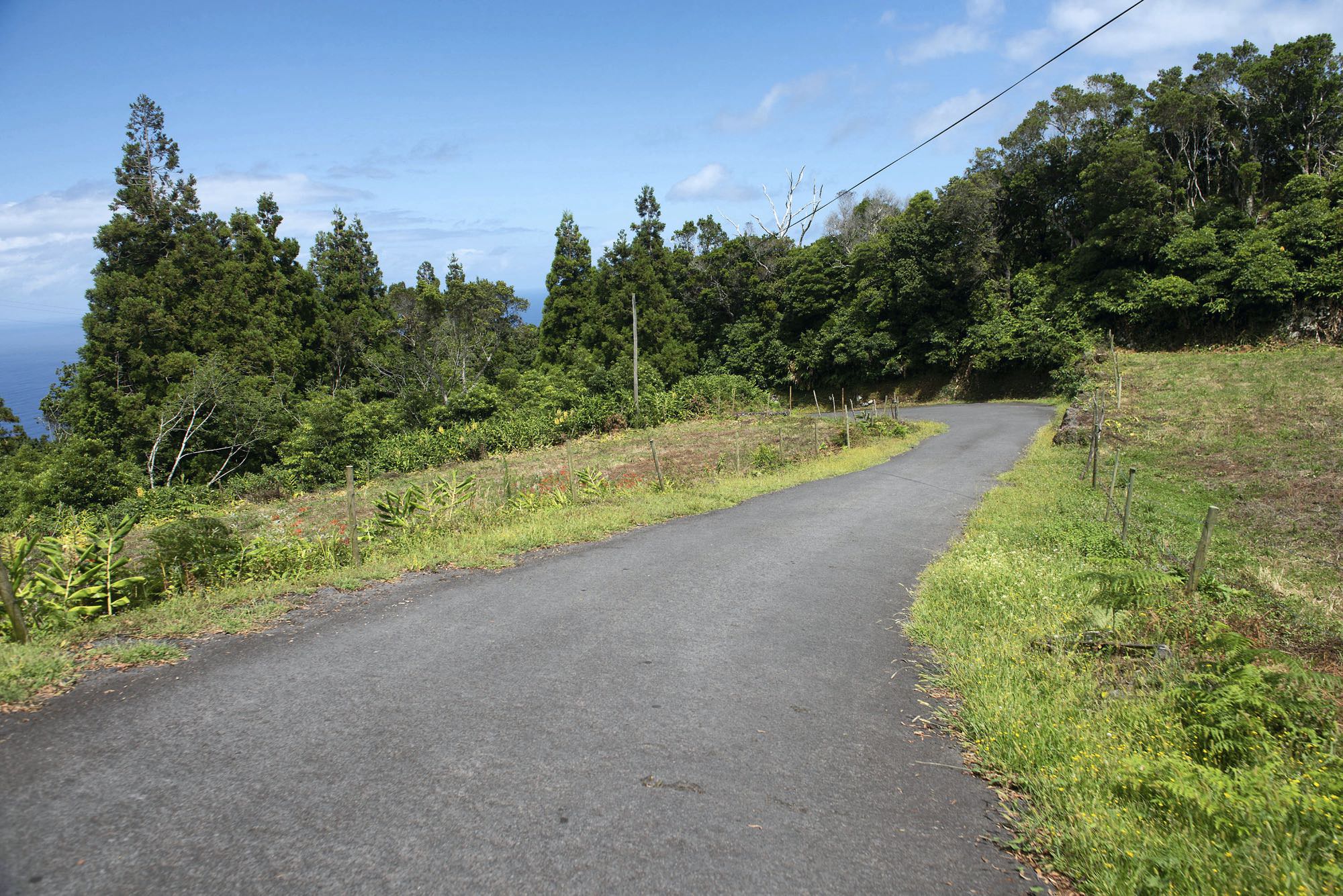 Der Rückweg von Fajã da Ribeira da Areia folgt einer schmalen Straße