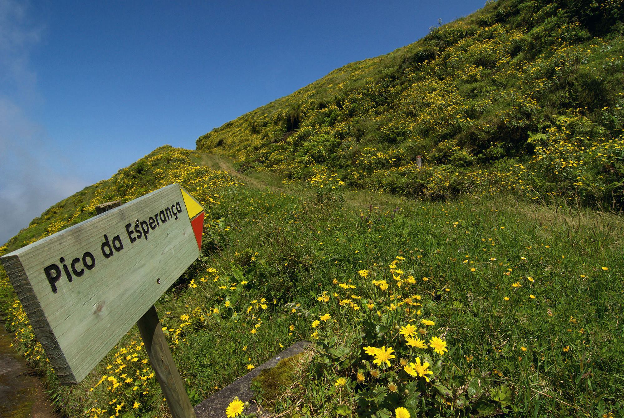 EIn kurzer Stichweg führt auf den Pico da Esperança