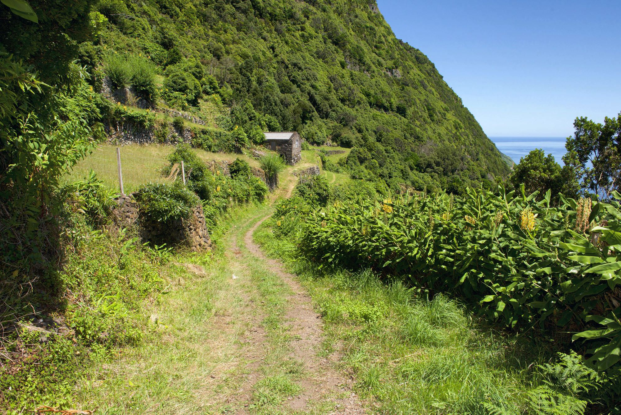 Fajã do Ginjal de Cima