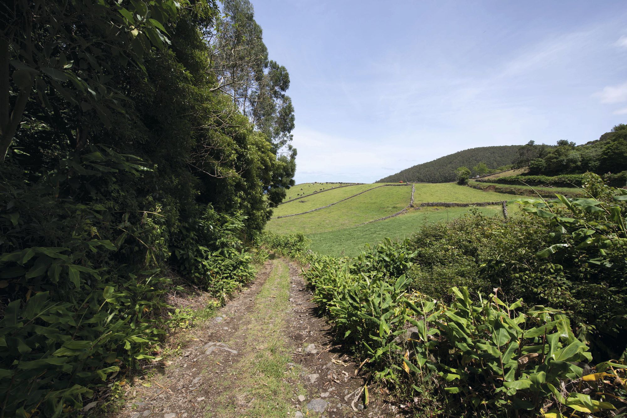 Der Rückweg führt am Rand des Biscoito das Calmeiras entlang