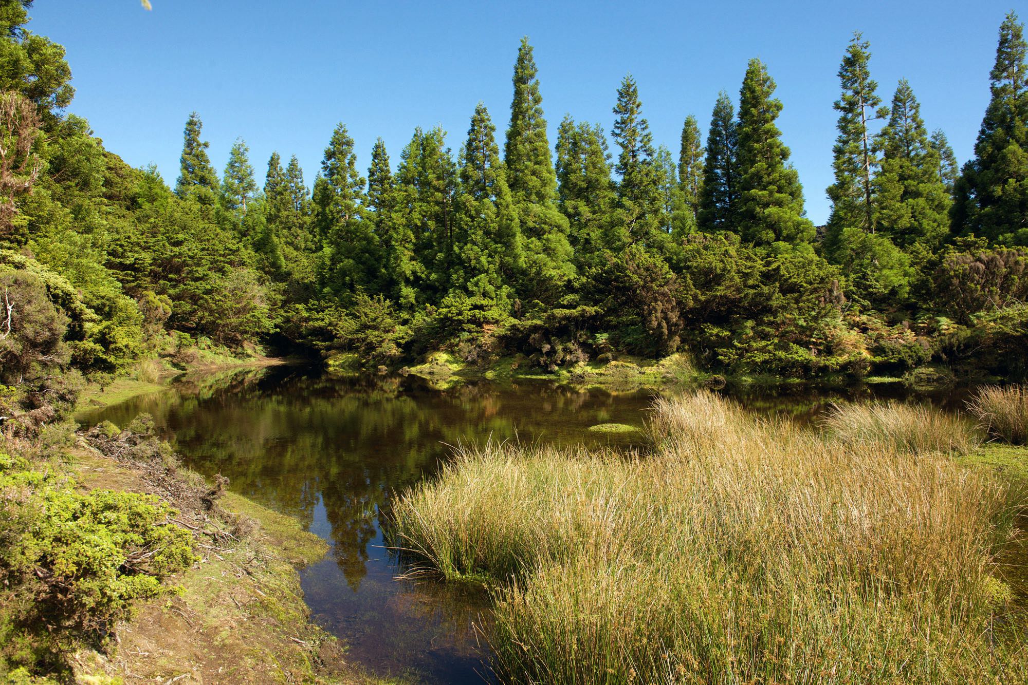 See im Hochlandmoor unterhalb der Mistérios Negros
