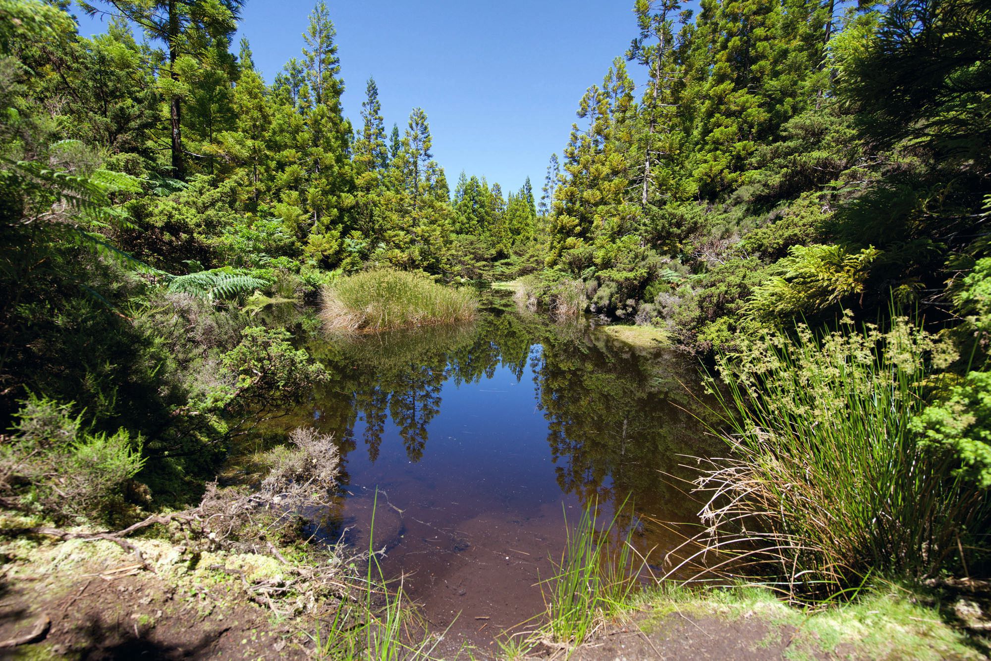 Lagoínha do Vale Fundo