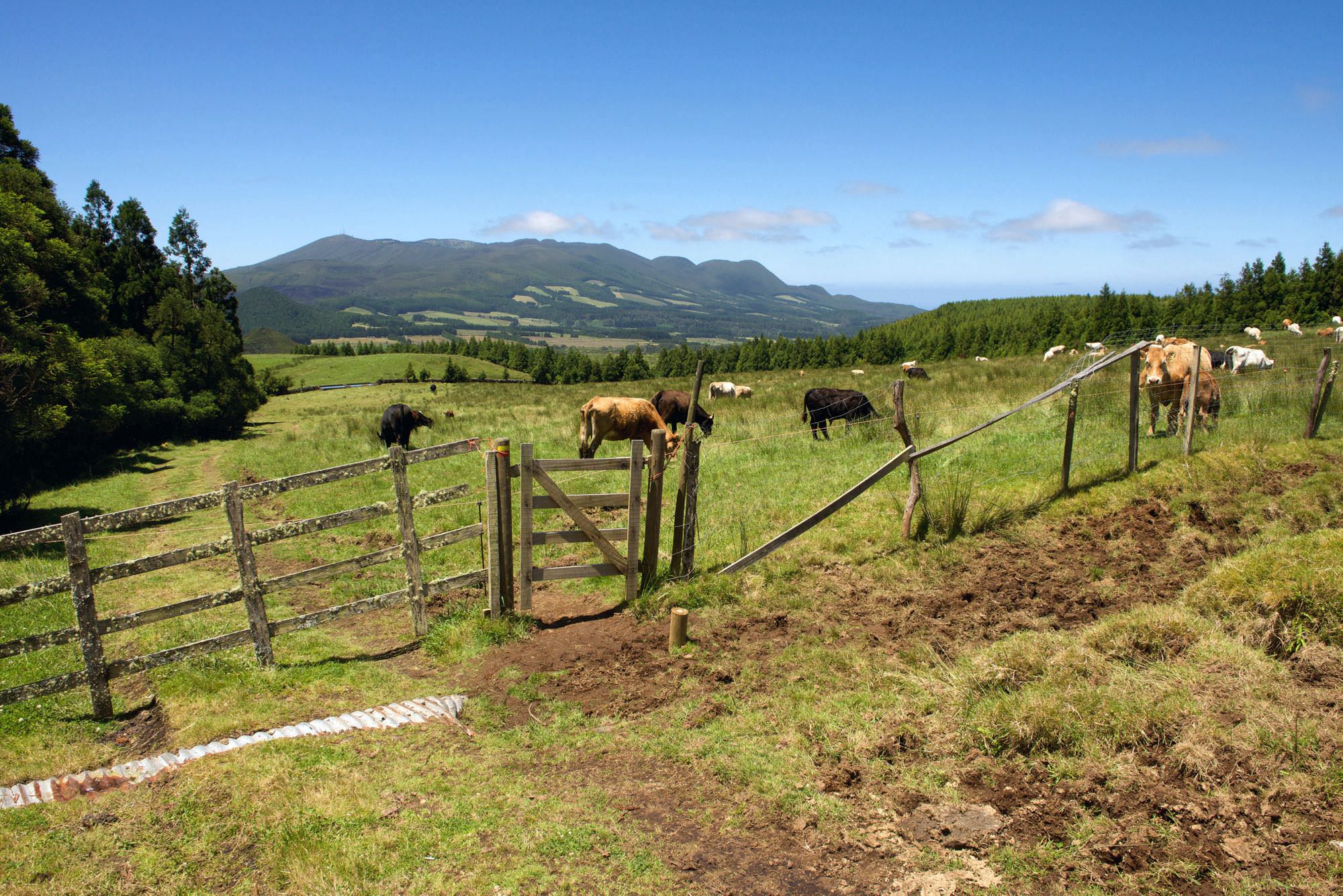 Vom Pico do Juncal überblickt man das Santa Bárbara Massiv