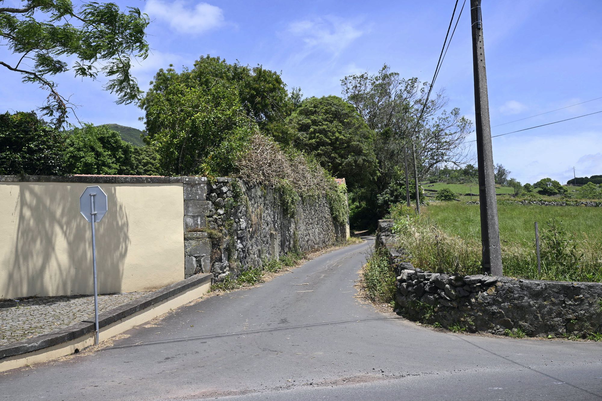 Neben der Einfahrt zur Quinta da Nasce Água beginnt die Wanderung