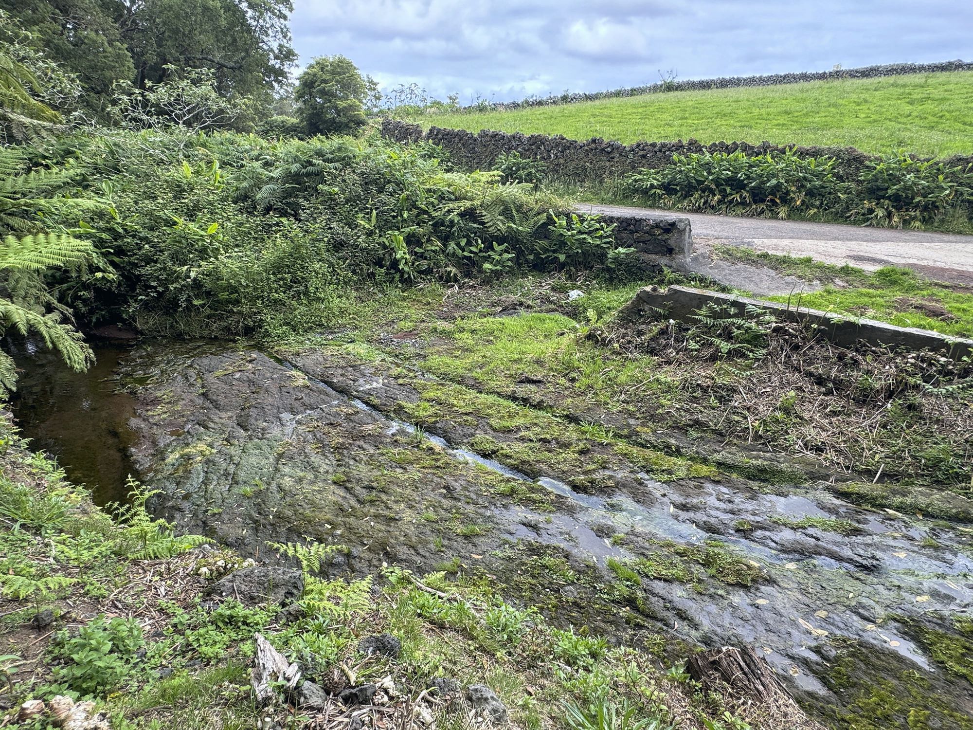 Alte Karrenspuren und neue Wege liegen dicht beieinander
