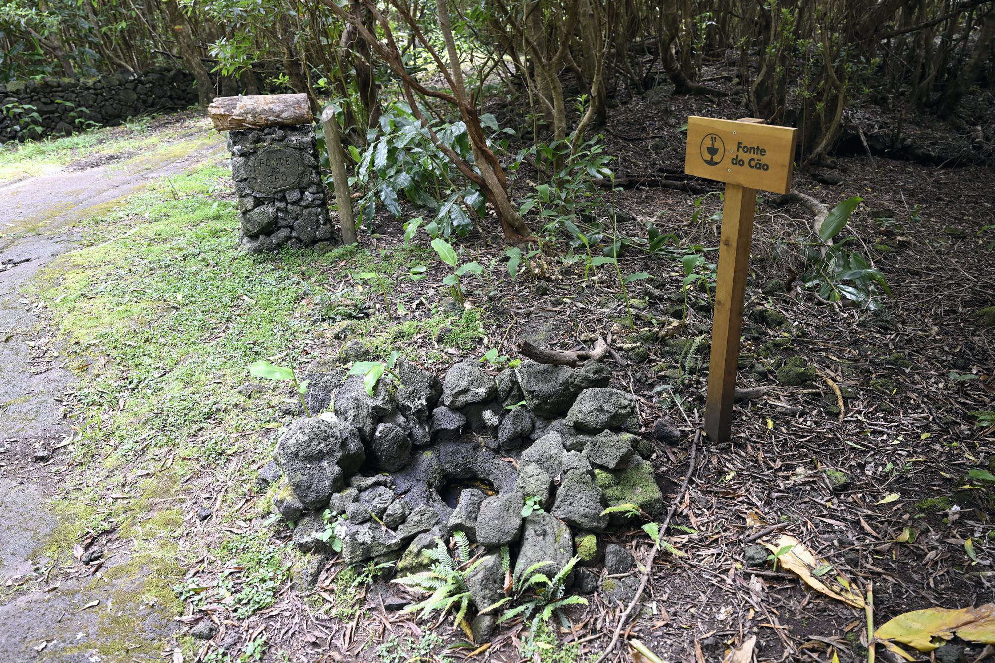 Fonte do Cão