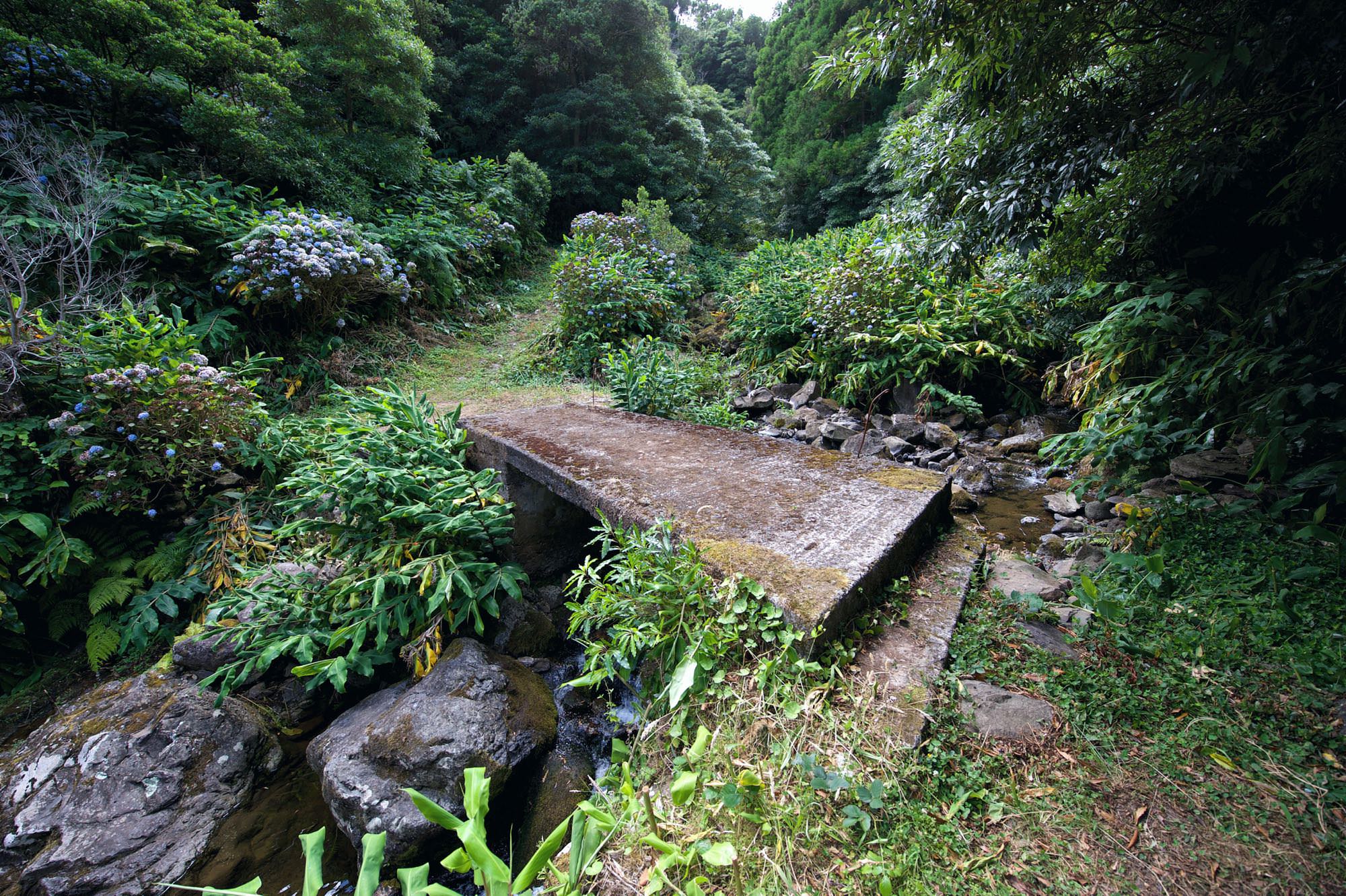 Ribeira da Esguilhão